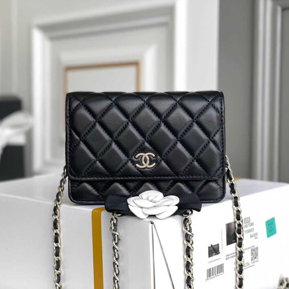 Ch*el mini wallet on chain